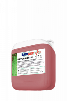 motfortes5